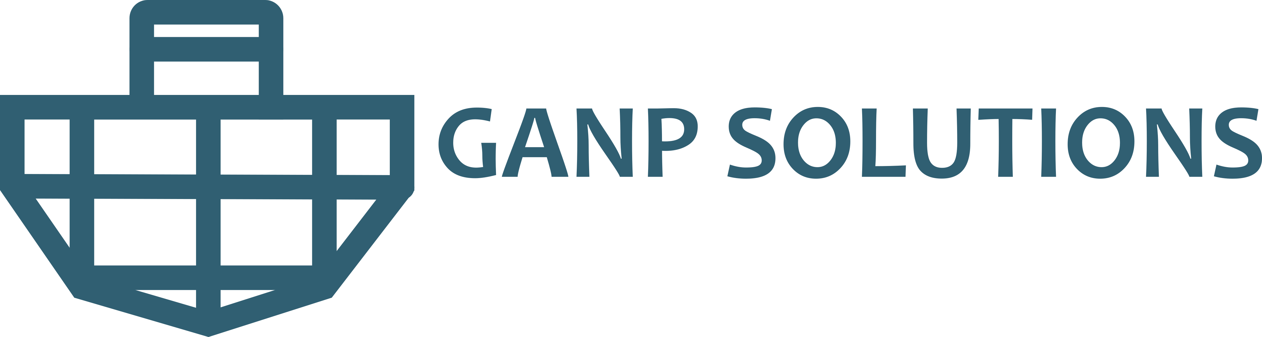 GANP Solutions