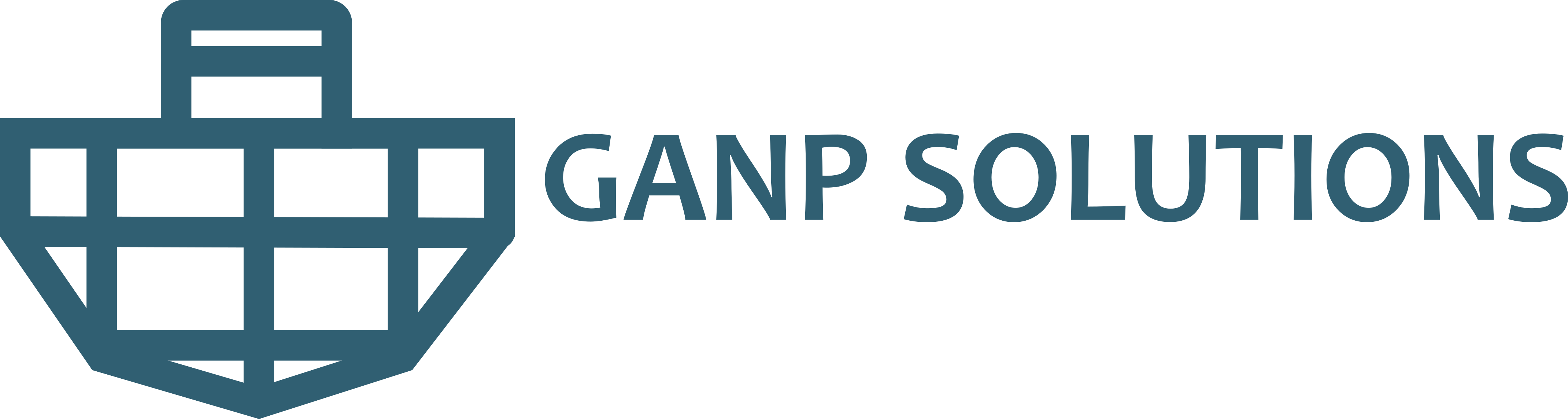 GANP Solutions